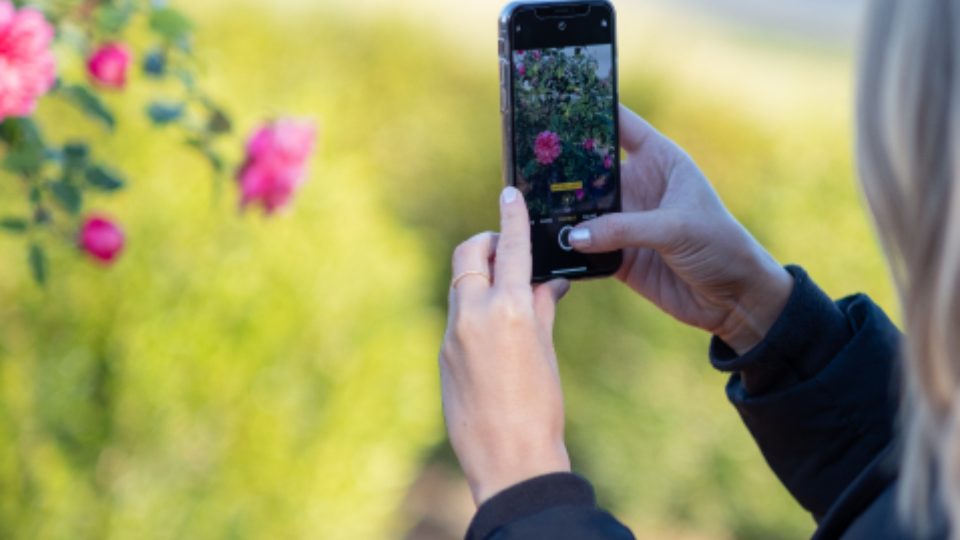 Redes sociais dão ao usuário novo controle sobre o feed